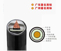 珠江南方一線(xiàn)電纜合金鎧裝中壓電力電纜
